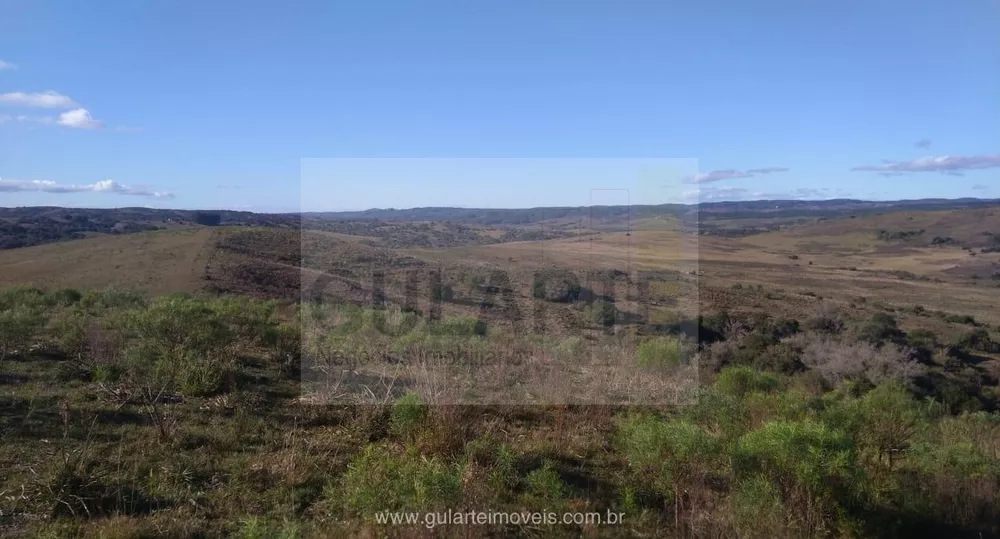 Fazenda, 1503 hectares - Foto 8