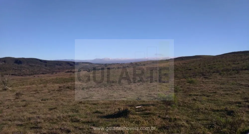 Fazenda, 1503 hectares - Foto 11