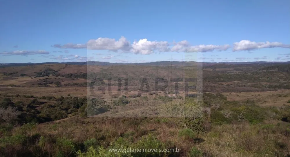 Fazenda, 1503 hectares - Foto 15