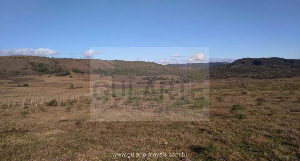 Fazenda, 1503 hectares - Foto 14
