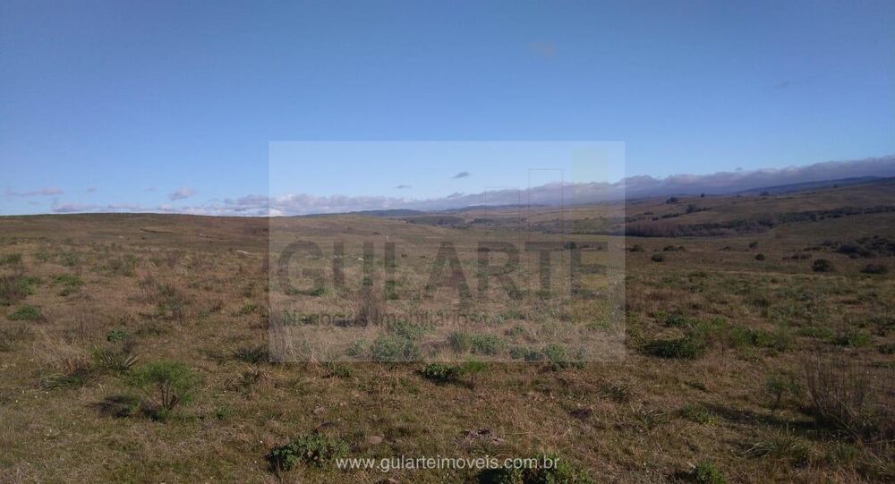 Fazenda-Sítio-Chácara, 1503 hectares - Foto 5