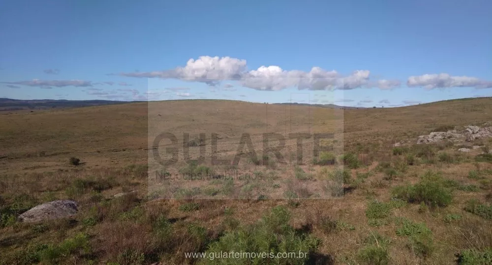 Fazenda, 1503 hectares - Foto 6