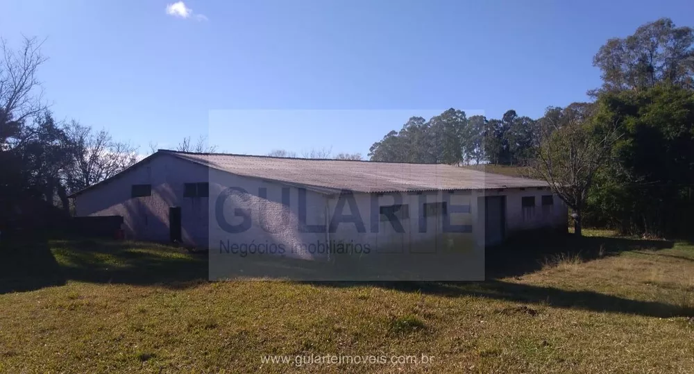 Fazenda, 1503 hectares - Foto 5