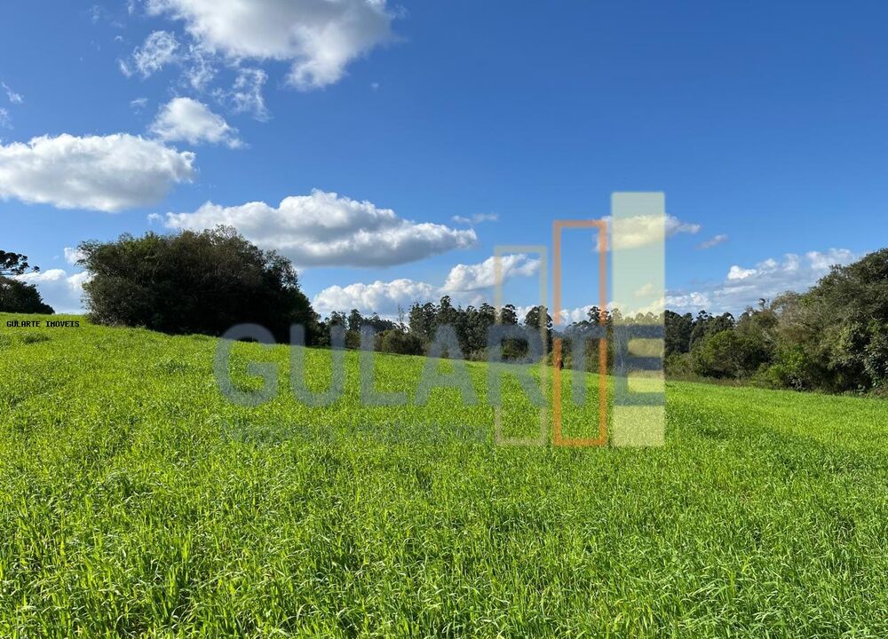 Fazenda à venda, 9520000m² - Foto 4