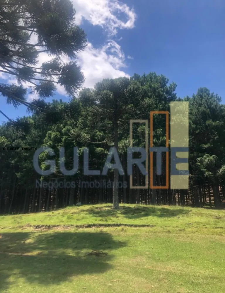 Fazenda, 715 hectares - Foto 6