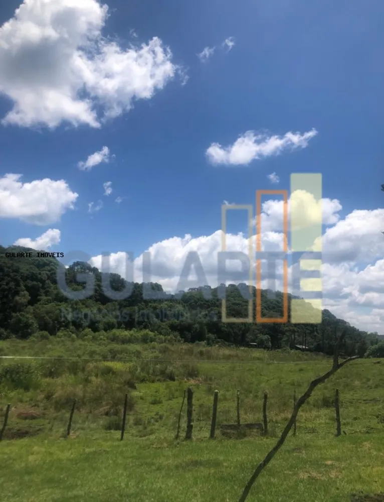 Fazenda, 715 hectares - Foto 5
