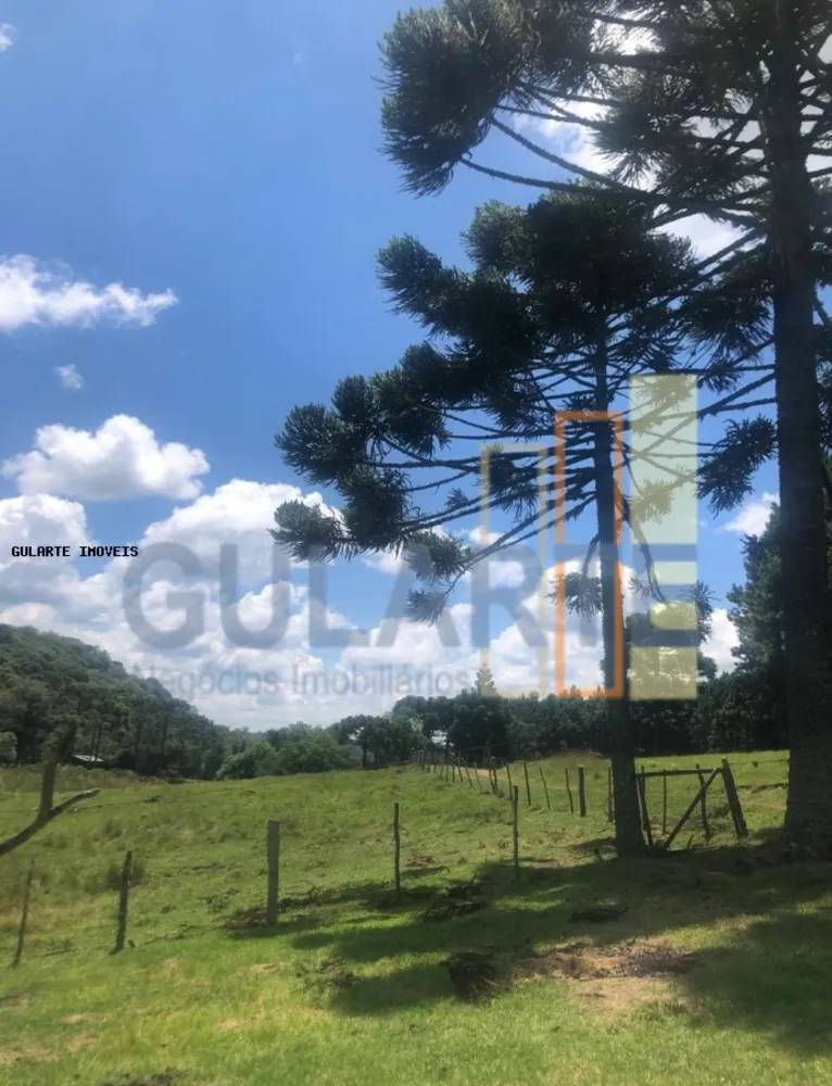 Fazenda, 715 hectares - Foto 2