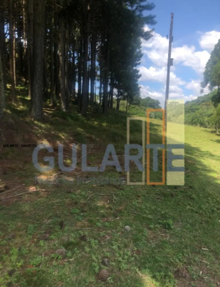 Fazenda, 715 hectares - Foto 4