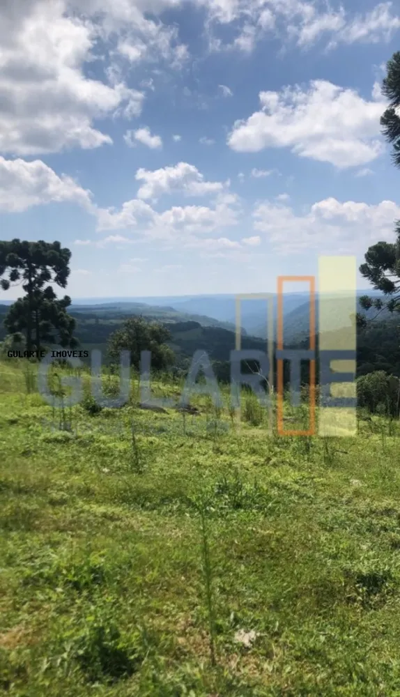 Fazenda, 715 hectares - Foto 1