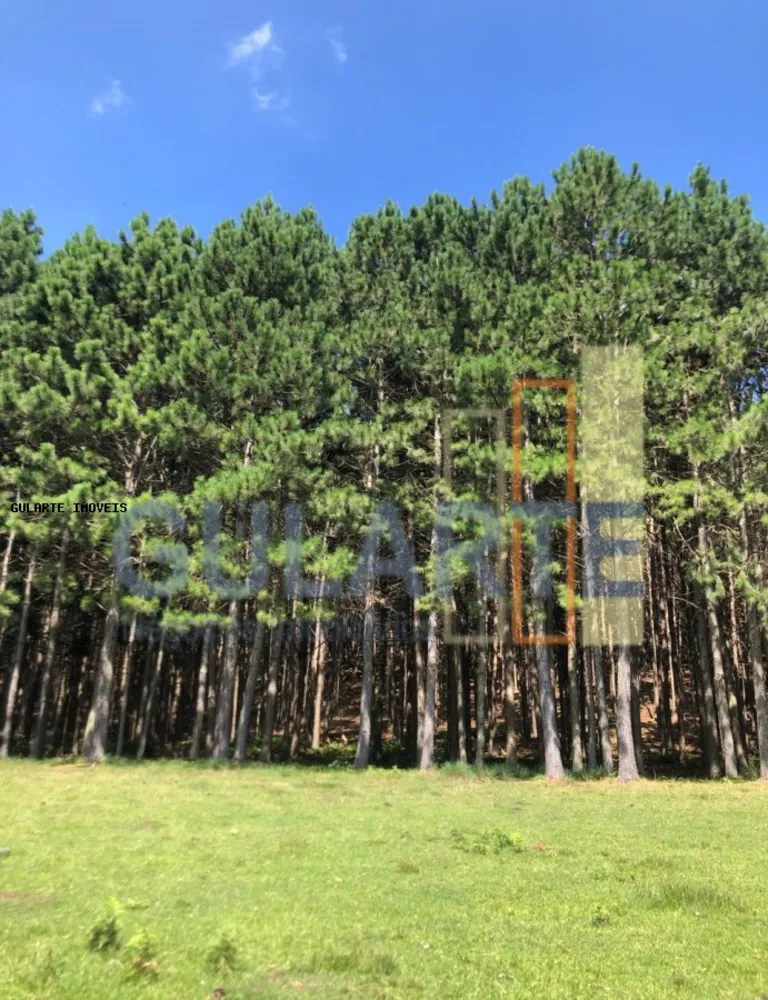 Fazenda, 715 hectares - Foto 3