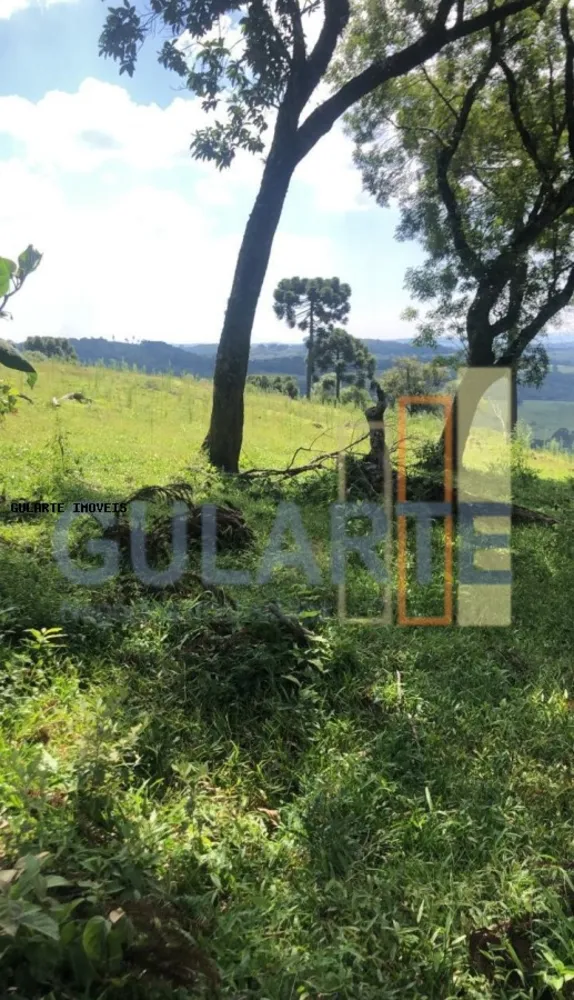 Fazenda, 715 hectares - Foto 3