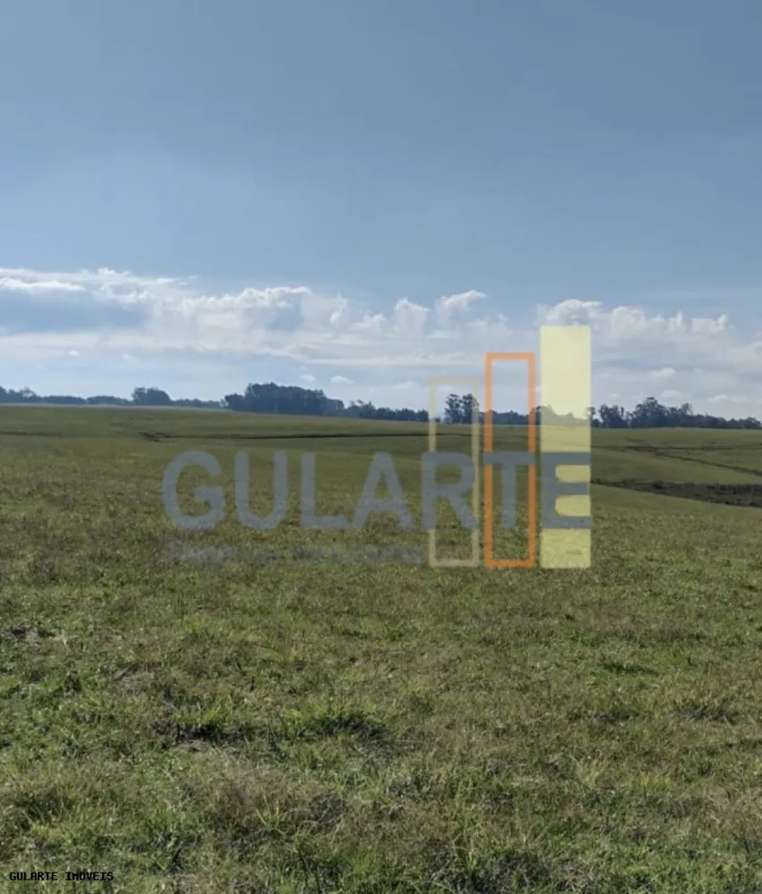 Fazenda, 446 hectares - Foto 11