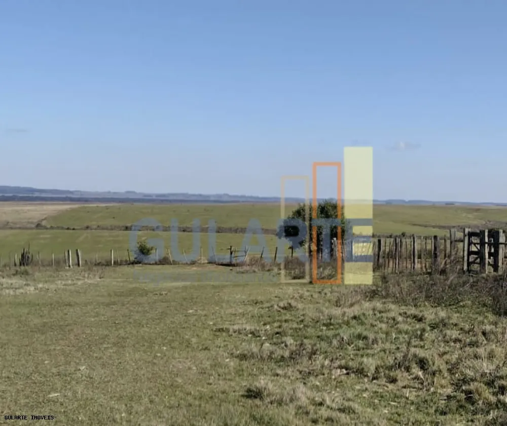 Fazenda, 446 hectares - Foto 10