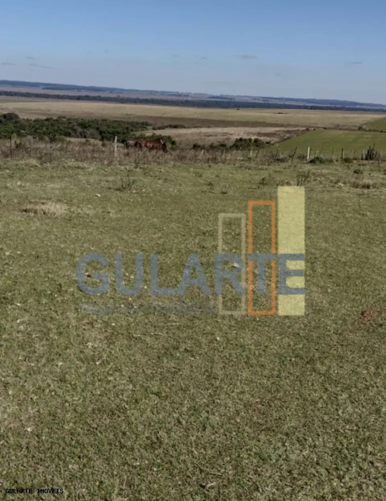 Fazenda, 446 hectares - Foto 2