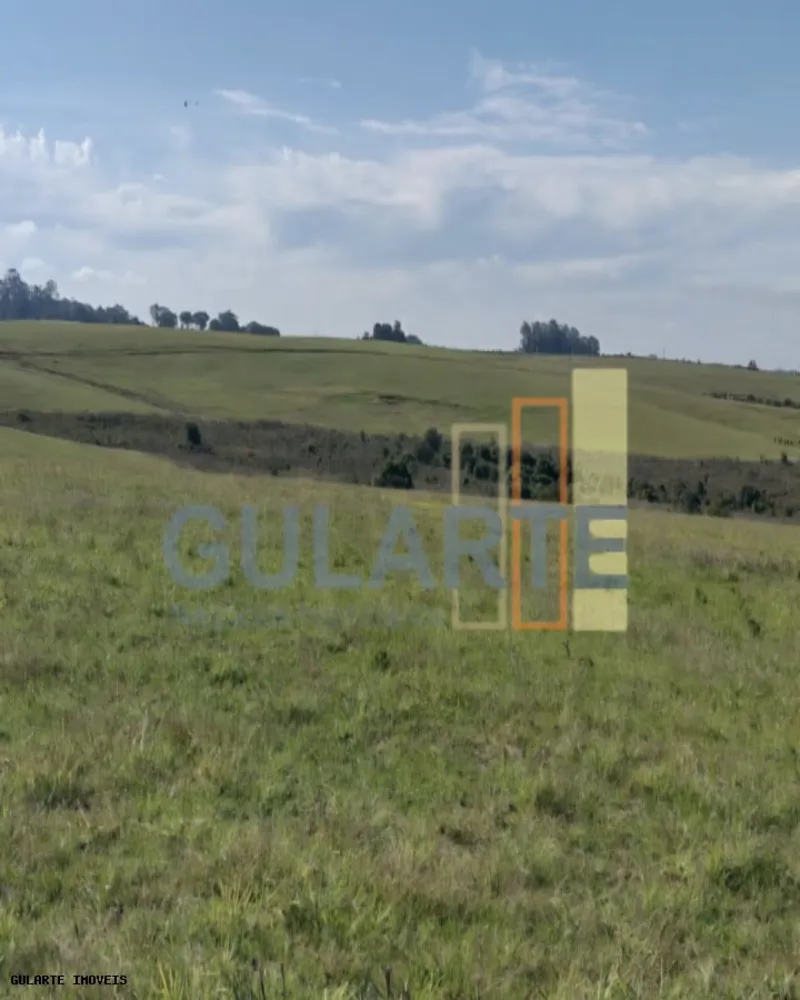 Fazenda, 446 hectares - Foto 1