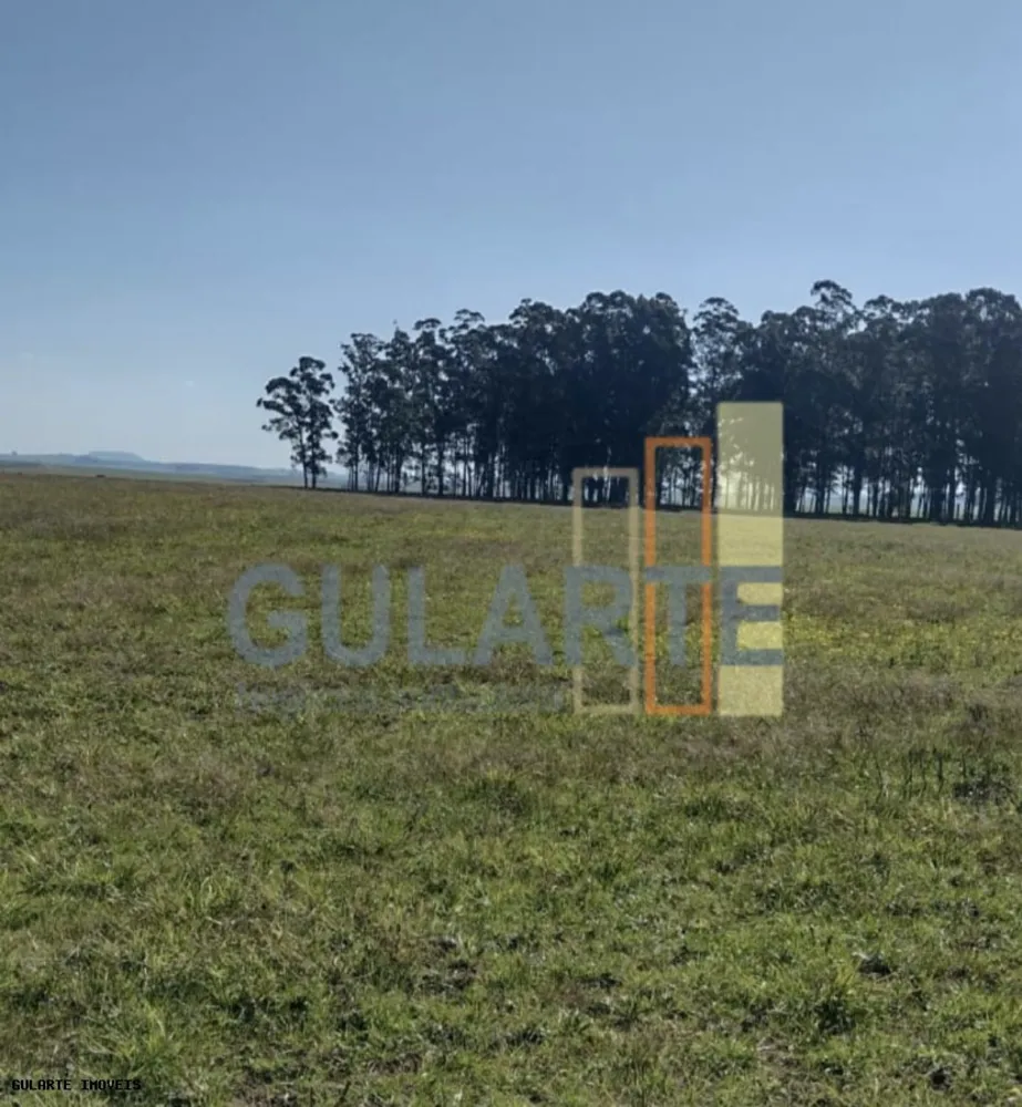 Fazenda, 446 hectares - Foto 4