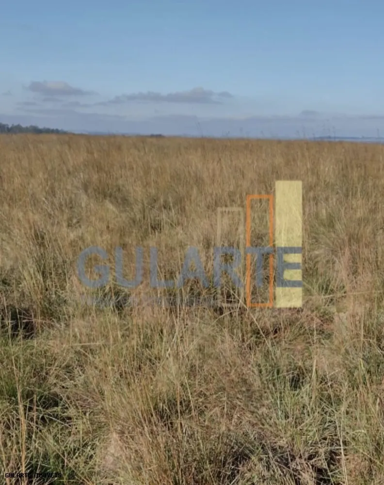 Fazenda, 446 hectares - Foto 3