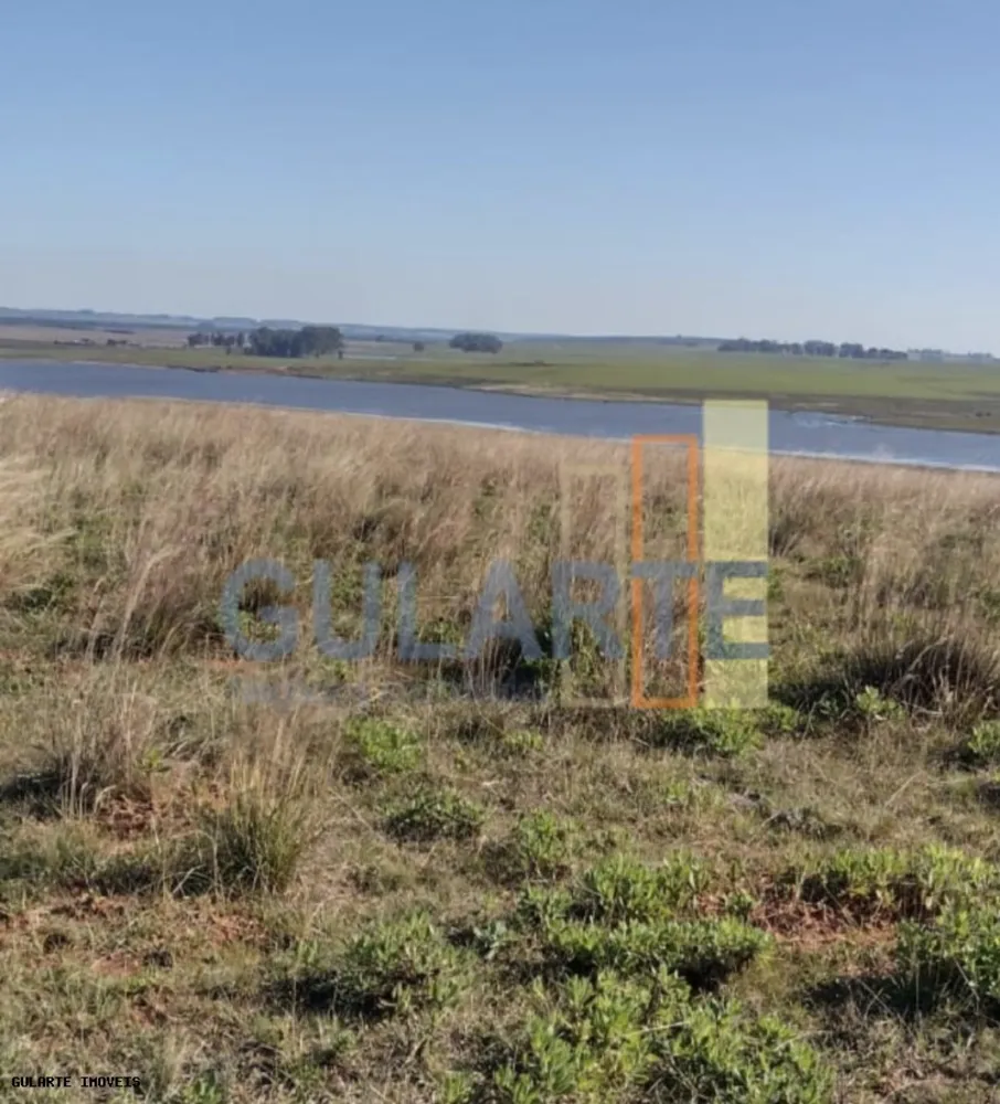 Fazenda, 446 hectares - Foto 6