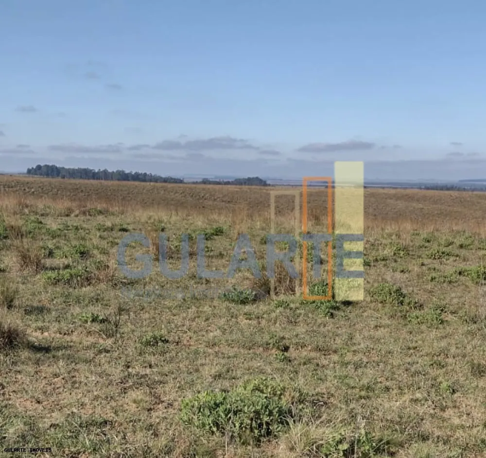 Fazenda, 446 hectares - Foto 9