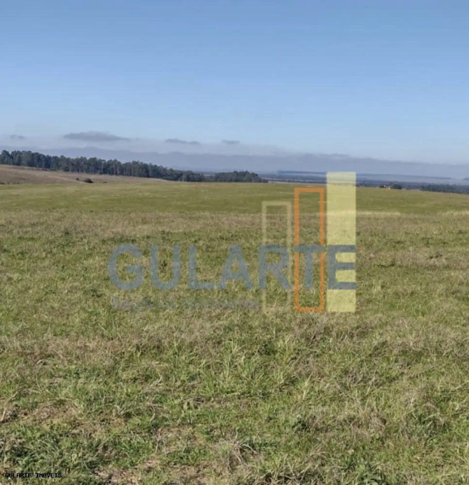 Fazenda, 446 hectares - Foto 7