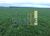 Fazenda, 570 m² - Foto 1