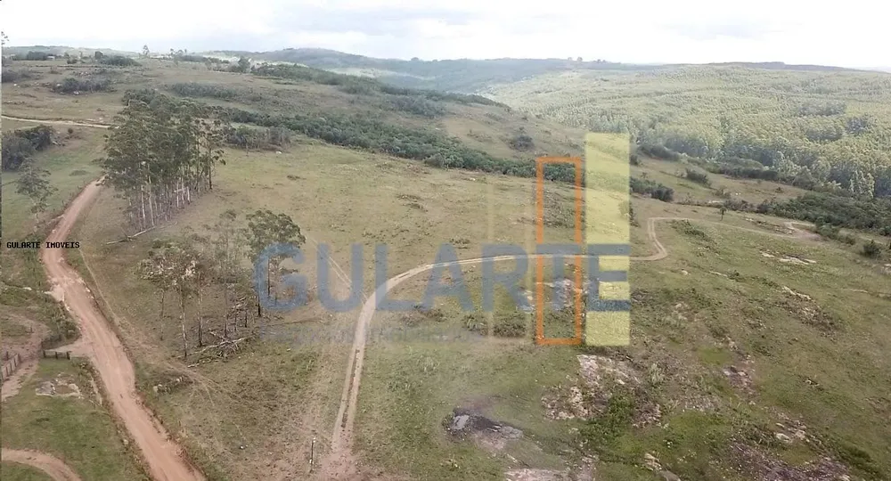 Fazenda, 106 hectares - Foto 6