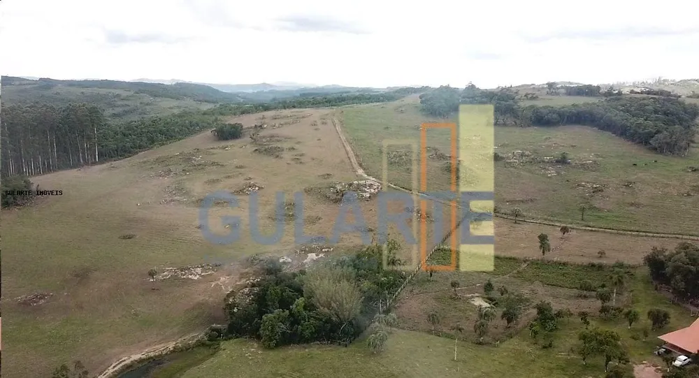 Fazenda, 106 hectares - Foto 4