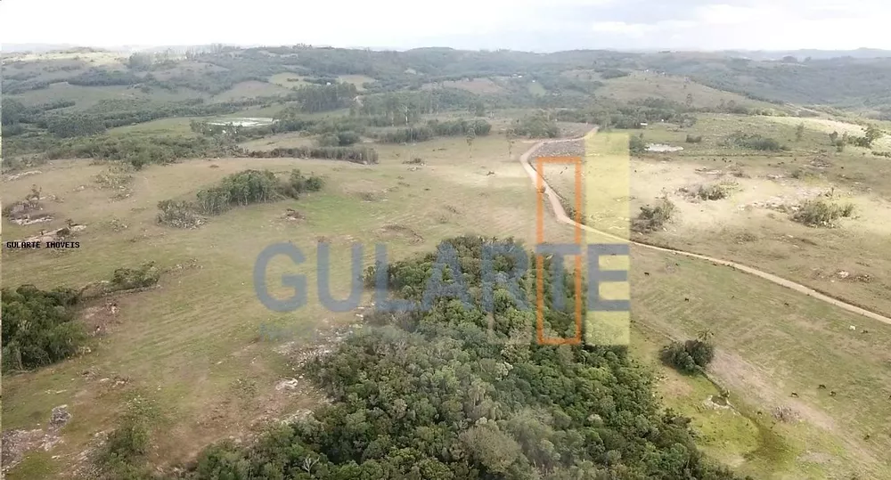 Fazenda, 106 hectares - Foto 6