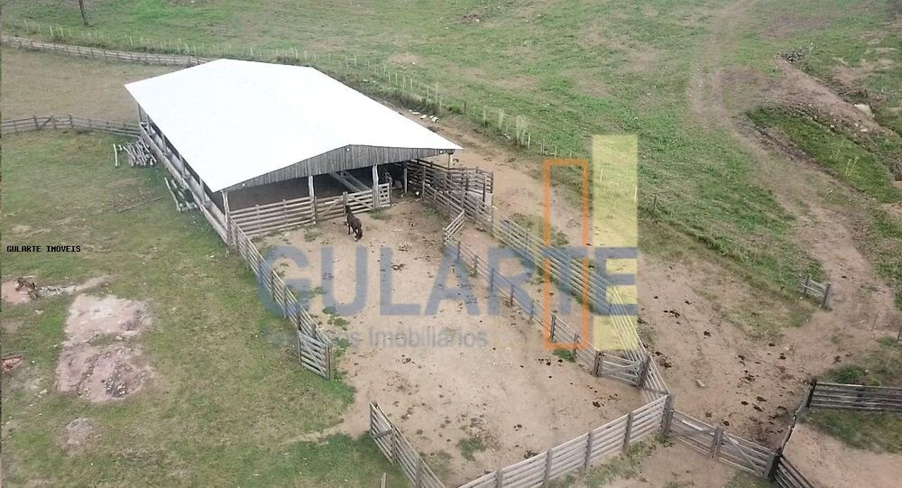 Fazenda-Sítio-Chácara, 106 hectares - Foto 3