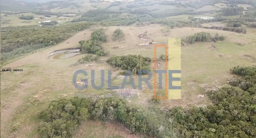 Fazenda, 106 hectares - Foto 13