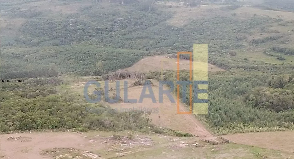 Fazenda, 106 hectares - Foto 8