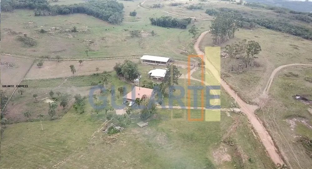Fazenda, 106 hectares - Foto 7