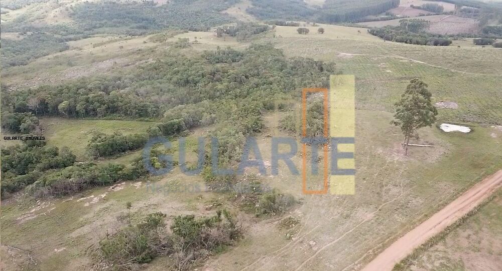 Fazenda-Sítio-Chácara, 106 hectares - Foto 2