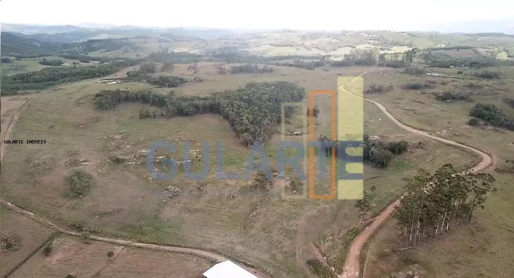 Fazenda, 106 hectares - Foto 4