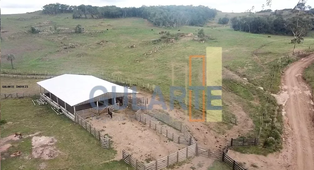 Fazenda, 106 hectares - Foto 3