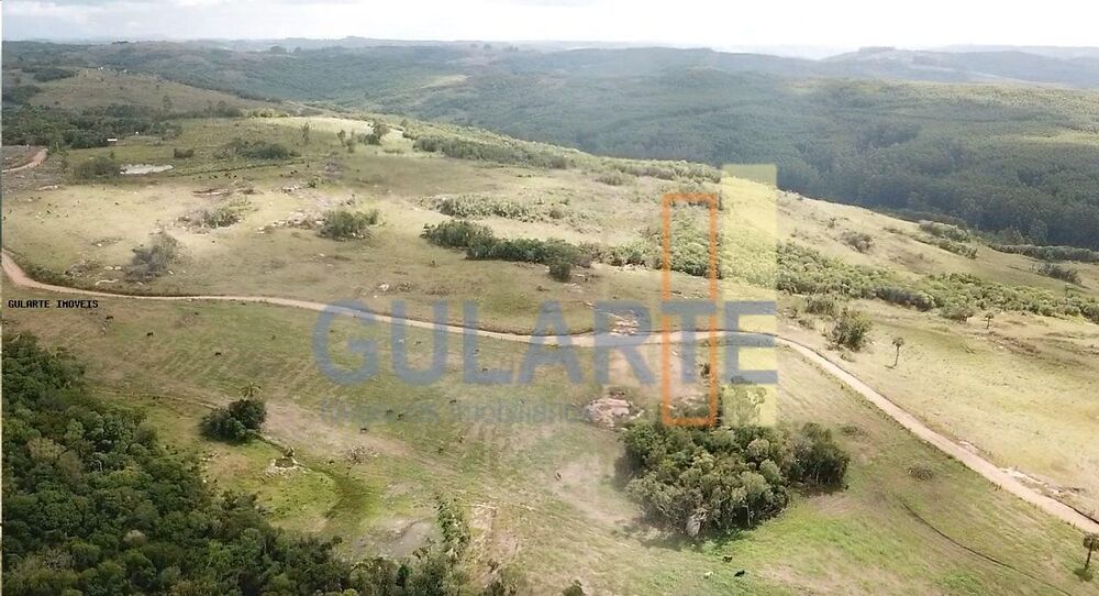 Fazenda-Sítio-Chácara, 106 hectares - Foto 4