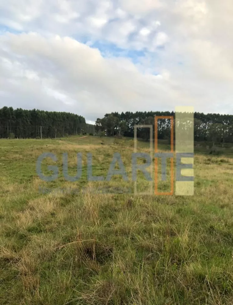 Fazenda, 903 hectares - Foto 6