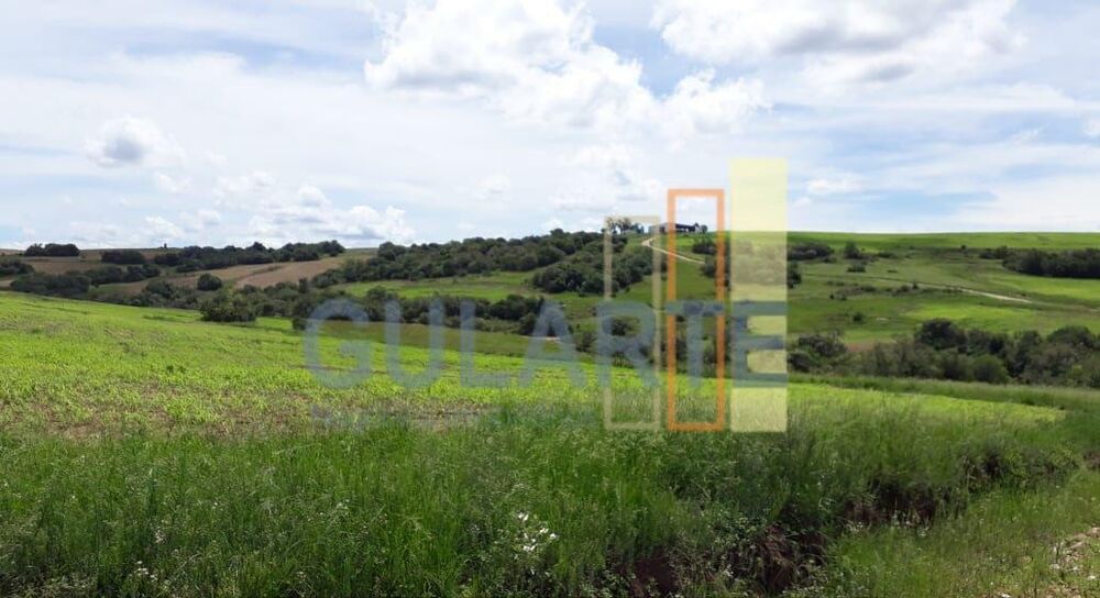Fazenda à venda, 9030000m² - Foto 1