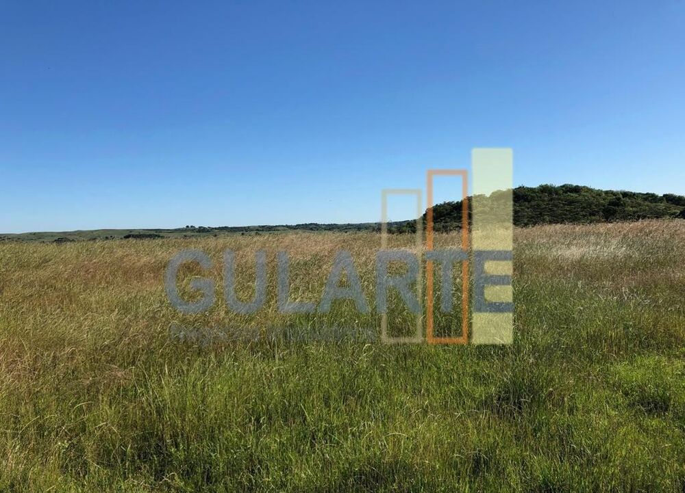 Fazenda à venda, 9030000m² - Foto 2