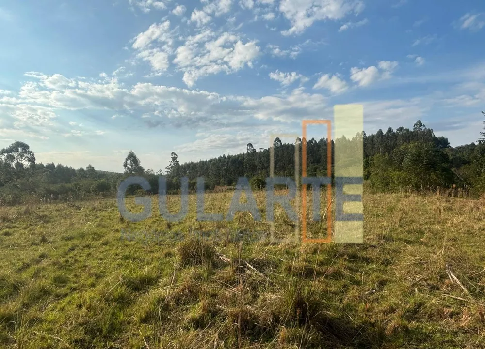 Fazenda, 903 hectares - Foto 5