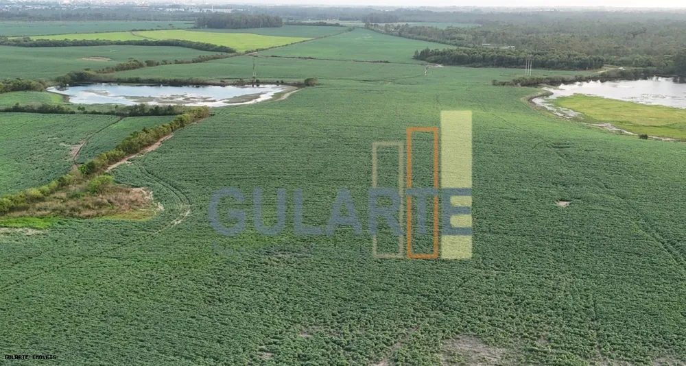 Fazenda, 110 hectares - Foto 3