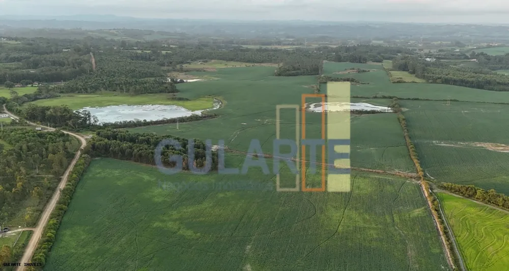 Fazenda, 110 hectares - Foto 4