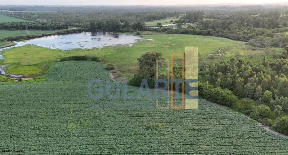 Fazenda, 110 hectares - Foto 1