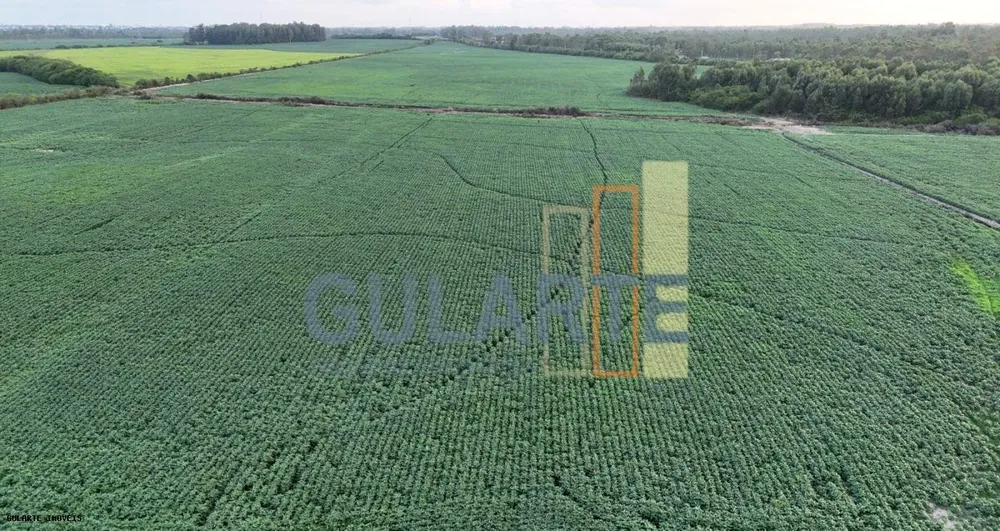 Fazenda, 110 hectares - Foto 2