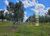 Fazenda-Sítio-Chácara, 59 hectares - Foto 3