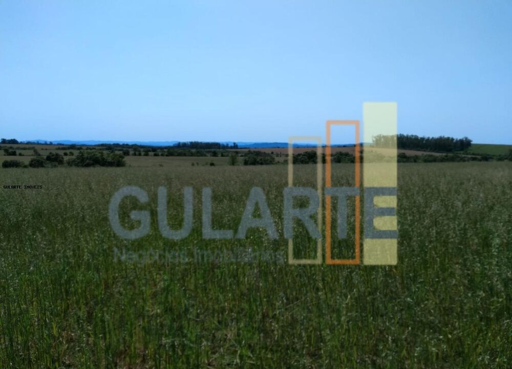 Fazenda à venda, 2520000m² - Foto 15