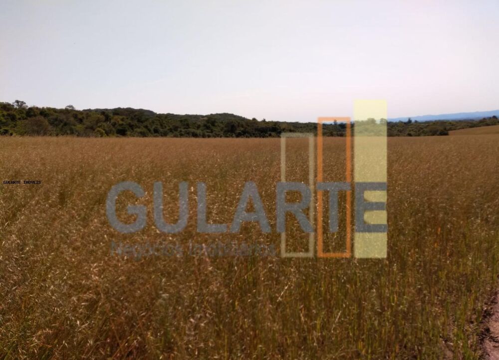 Fazenda à venda, 2520000m² - Foto 11