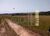Fazenda-Sítio-Chácara, 252 hectares - Foto 14