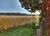 Fazenda-Sítio-Chácara, 252 hectares - Foto 9