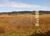 Fazenda-Sítio-Chácara, 252 hectares - Foto 13